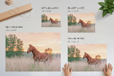 Póster caballo en el prado por la mañana con colores pastel y estilo relajante