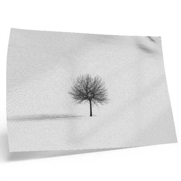 Arte de pared Motivo de armonía en un paisaje minimalista de árboles invernales