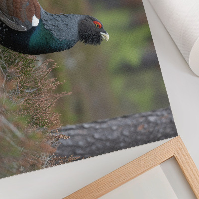 Póster con diseño de colores de pájaros y naturaleza del bosque para un ambiente tranquilo