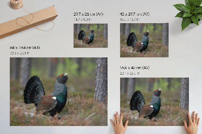 Póster con diseño de colores de pájaros y naturaleza del bosque para un ambiente tranquilo