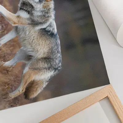 Arte de pared lobo en movimiento en un paisaje natural salvaje