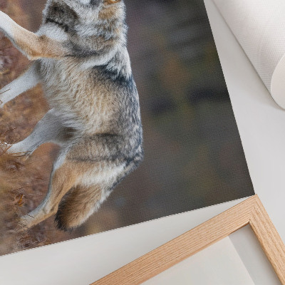 Arte de pared Lobo en movimiento, paisaje salvaje, naturaleza