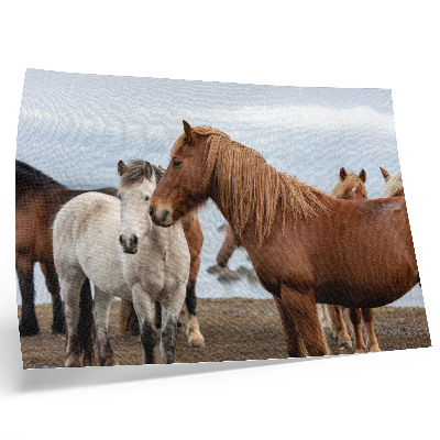 Póster La belleza natural de los caballos con el paisaje como telón de fondo.