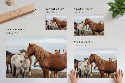 Póster La belleza natural de los caballos con el paisaje como telón de fondo.