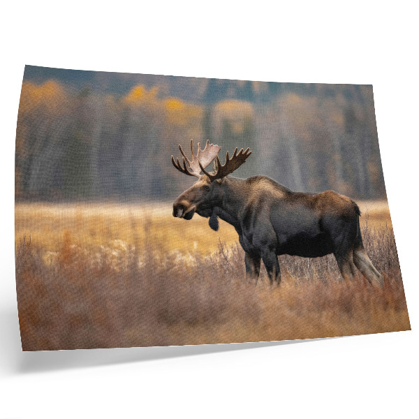 Arte de pared alces en un paisaje otoñal que refleja la armonía de la naturaleza salvaje