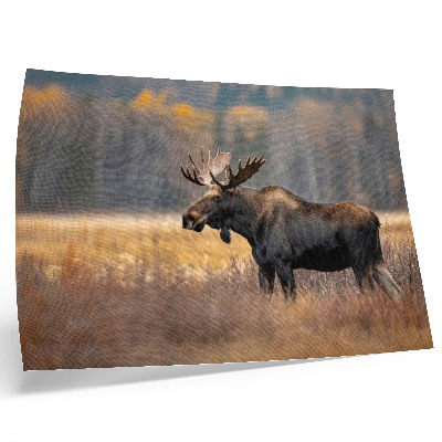 Arte de pared alces en un paisaje otoñal que refleja la armonía de la naturaleza salvaje