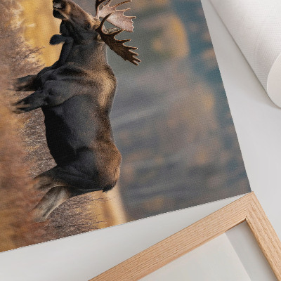 Arte de pared alces en un paisaje otoñal que refleja la armonía de la naturaleza salvaje