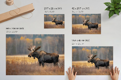 Arte de pared alces en un paisaje otoñal que refleja la armonía de la naturaleza salvaje