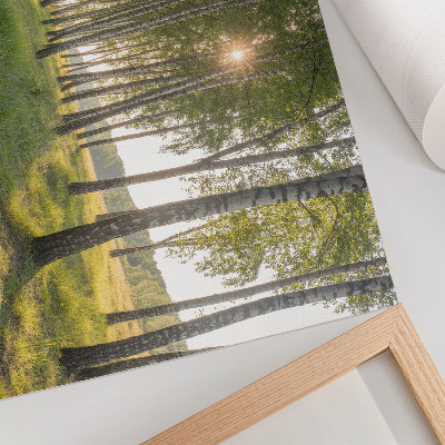 Arte de pared Simetría de los rayos del sol en el bosque de abedules