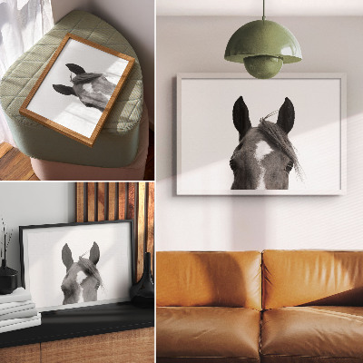 Póster fotografía en blanco y negro de elegancia equina
