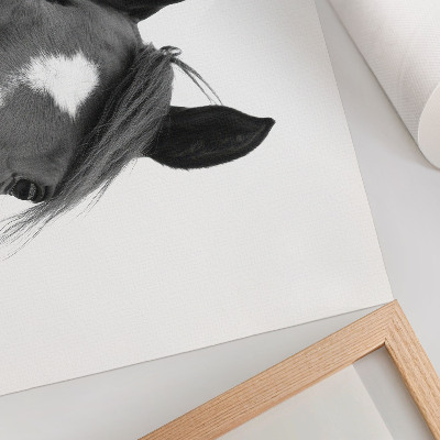 Póster fotografía en blanco y negro de elegancia equina