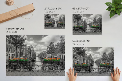 Arte de pared Una encantadora vista del canal, bicicletas, tulipanes, negro y naranja.