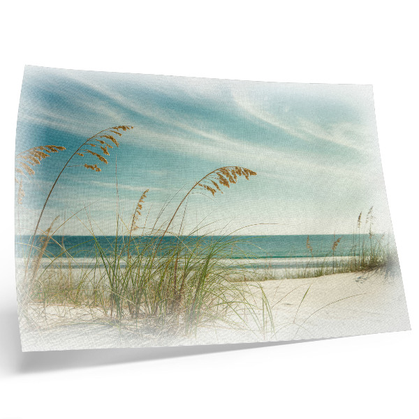 Póster Hierba de playa, océano, cielo, paz