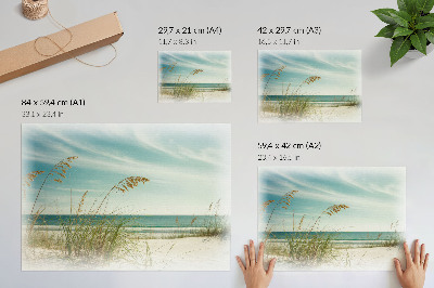 Póster Hierba de playa, océano, cielo, paz