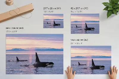 Lámina para cuadro de orcas contra un paisaje marino en tonos pastel