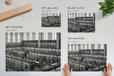 Arte de pared biblioteca clásica con estantes de madera