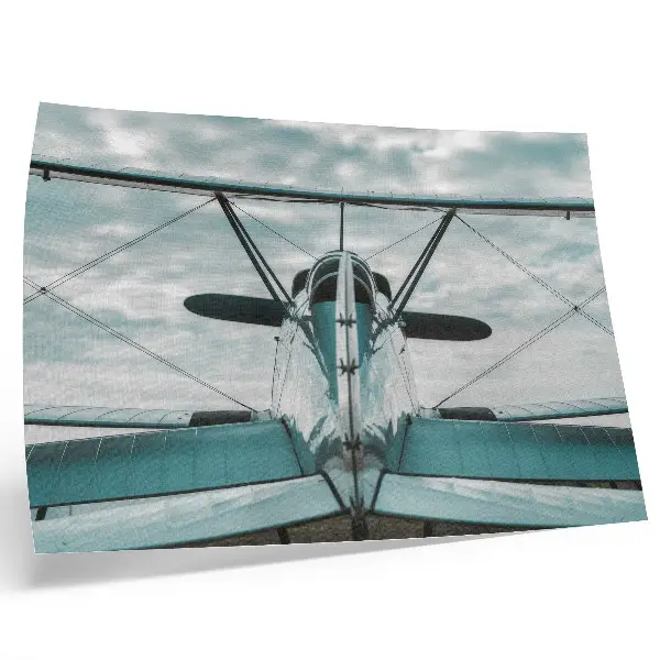 Póster vista frontal de un biplano con elegancia industrial