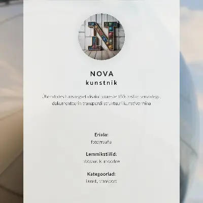 Póster vista frontal de un biplano con elegancia industrial