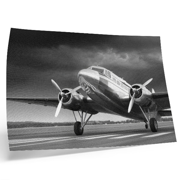 Arte de pared Avión antiguo en colores monocromáticos