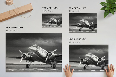 Arte de pared Avión antiguo en colores monocromáticos