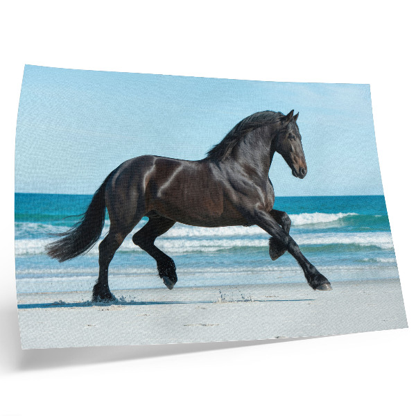 Póster caballo galopando en la costa con cielo azul