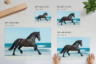 Póster caballo galopando en la costa con cielo azul