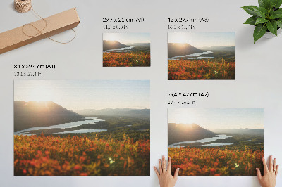 Póster Flores, montañas, río, puesta de sol, ambiente tranquilo