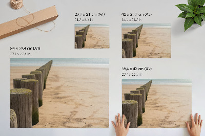 Arte de pared estacas de madera playa mar paz naturaleza
