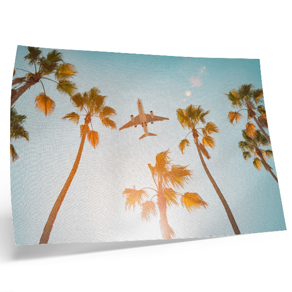 Póster Avión palmeras cielo azul clima tropical