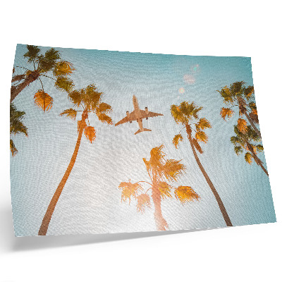 Póster Avión palmeras cielo azul clima tropical