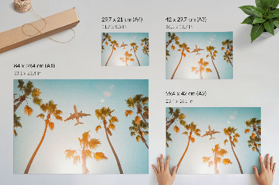 Póster Avión palmeras cielo azul clima tropical