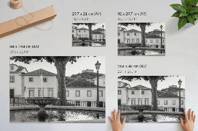 Lámina para cuadro fuente en blanco y negro con edificios clásicos y castillo