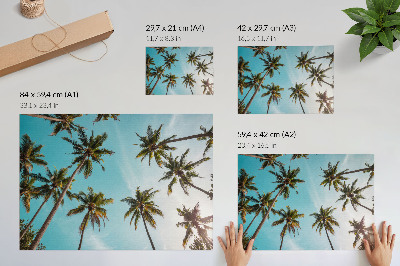 Póster Palmeras sobre un fondo azul, la atmósfera apacible de la naturaleza.