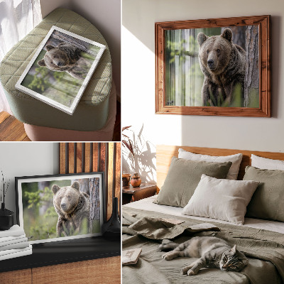 Lámina para cuadro diseño de un oso en un bosque con encanto natural