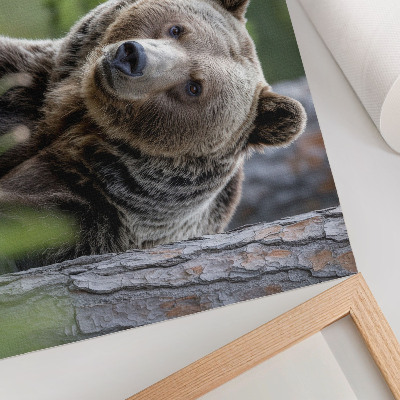Lámina para cuadro diseño de un oso en un bosque con encanto natural