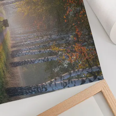 Póster de abedules simétricos con luz brumosa en un callejón otoñal