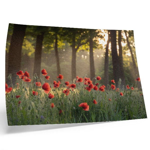 Lámina para cuadro Amapolas rojas, bosque verde, rayos de sol