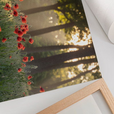 Lámina para cuadro Amapolas rojas, bosque verde, rayos de sol