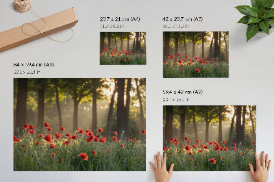 Lámina para cuadro Amapolas rojas, bosque verde, rayos de sol