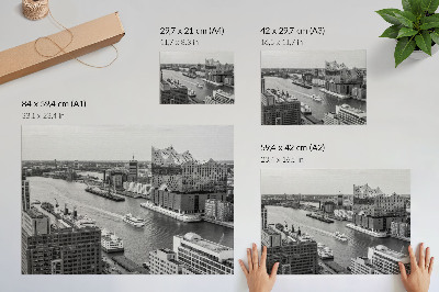 Lámina para cuadro Arquitectura emblemática del río de la ciudad moderna