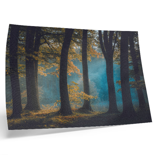 Póster Bosque tranquilo, sol de la mañana, hojas coloridas