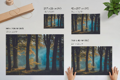 Póster Bosque tranquilo, sol de la mañana, hojas coloridas
