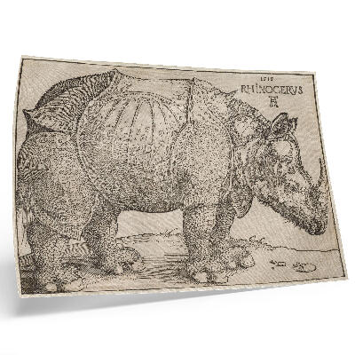 Póster Rinoceronte (1515) de Albrecht Dürer