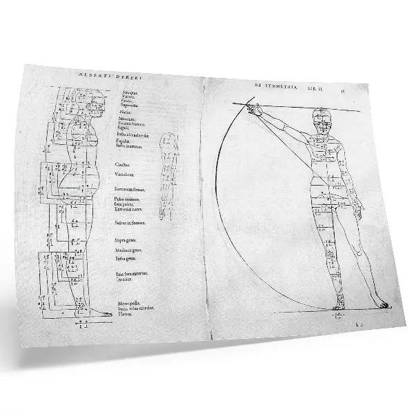 Lámina para cuadro dibujo de un hombre según el estilo de Alberto Durero