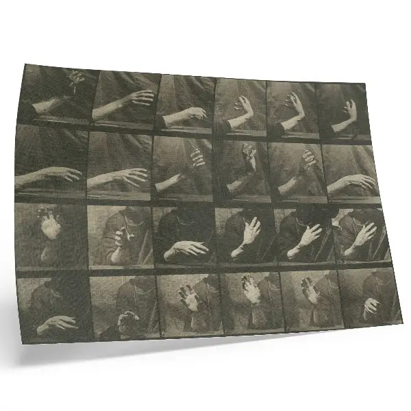 Arte de pared lámina 535 de Locomoción animal de 1887 por Eadweard Muybridge