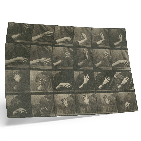 Arte de pared Locomoción animal, lámina 535 (1887) de Eadweard Muybridge