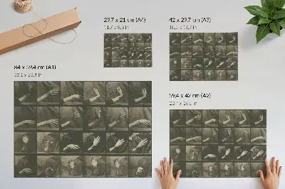Arte de pared lámina 535 de Locomoción animal de 1887 por Eadweard Muybridge