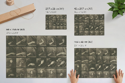 Arte de pared Locomoción animal, lámina 535 (1887) de Eadweard Muybridge