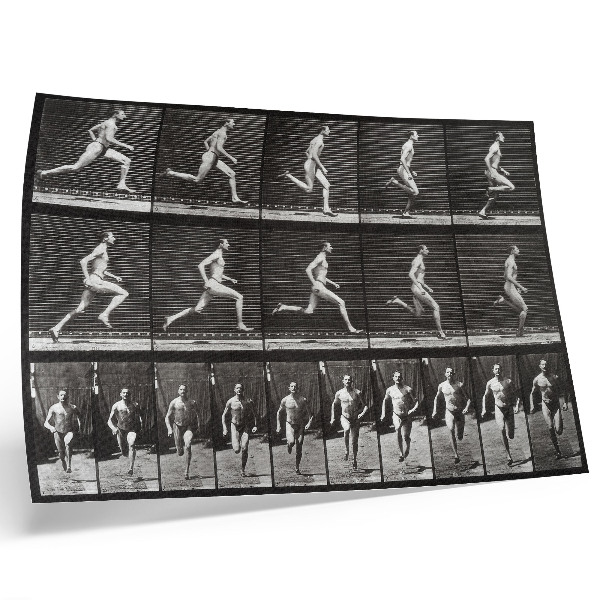 Lámina para cuadro Lámina 60 de Locomoción animal (1887), fotografiada por Eadweard Muybridge.