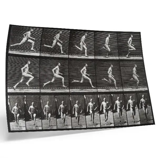 Lámina de Locomoción animal (1887) de Eadweard Muybridge lámina para cuadro